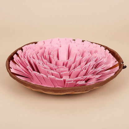 Pink pet bed with brown rim on a white background