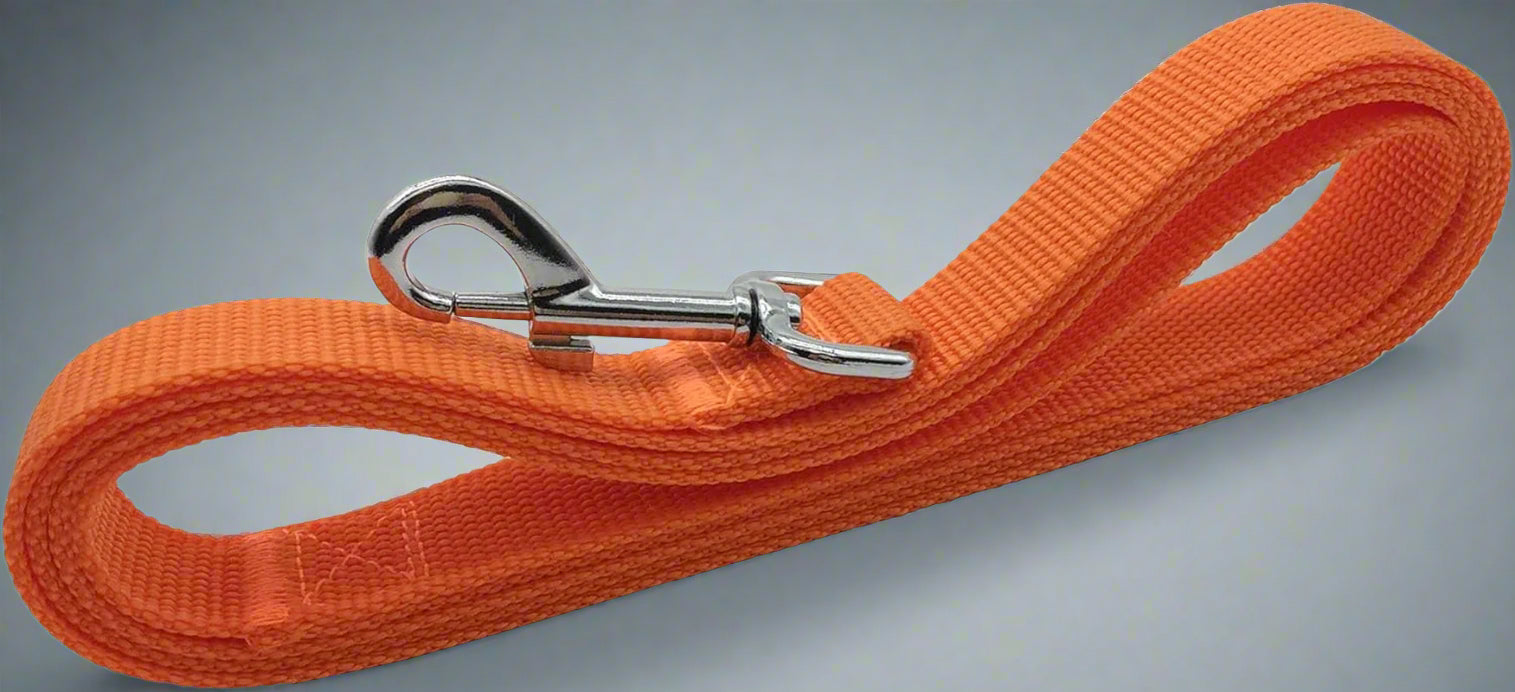 5 FT Strong Dog Leash, Nylon Dog Leashes for Small Medium Large Dogs Orange