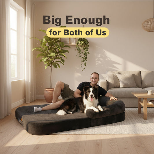 Man and dog lying on a large black pet bed with text 'Big Enough for Both of Us' with a living room setting.