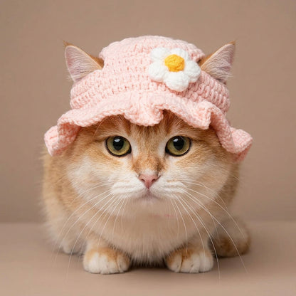 Cat wearing a pink knitted hat with a flower on a beige background