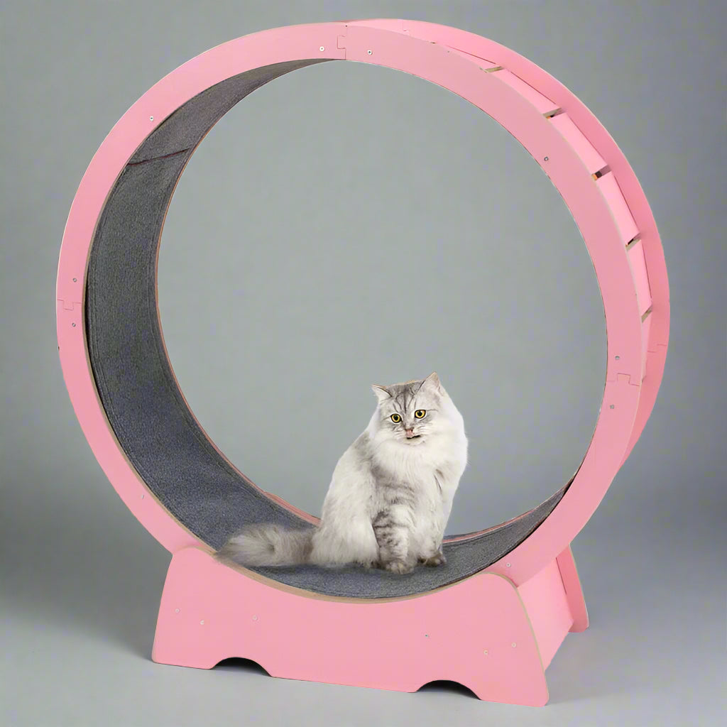 Denora 45'' Large Cat Running Wheel Treadmill