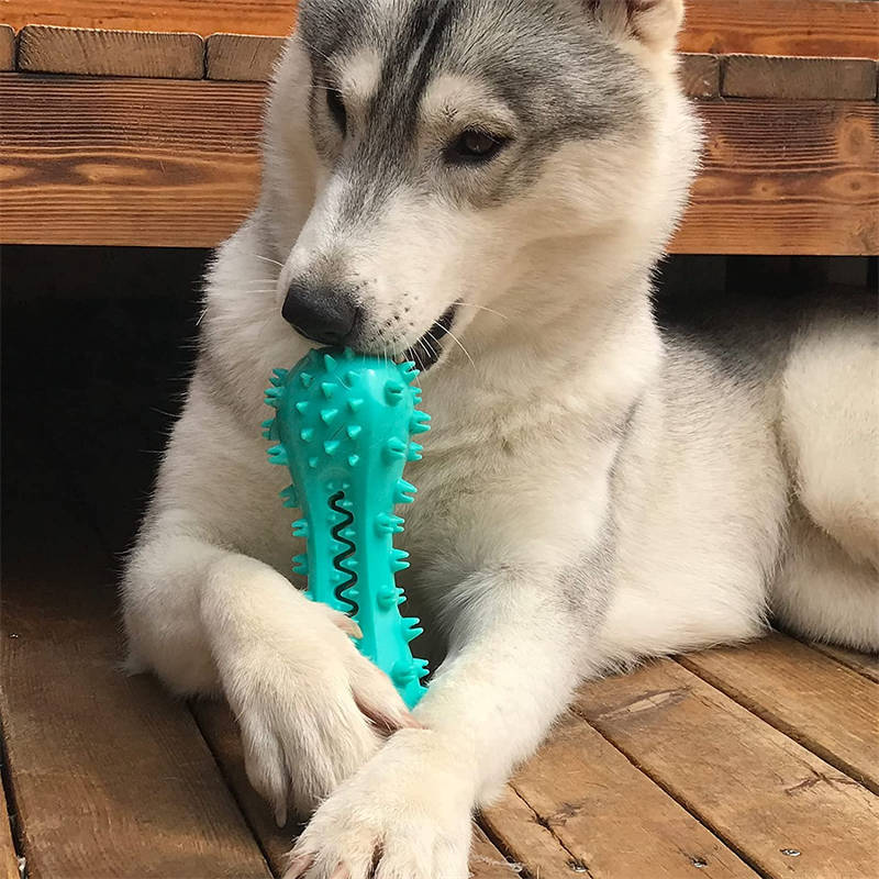 Dog Tooth Brush Chew Toy - Interactive Dental Care Toy with Sound for Small Medium Dogs
