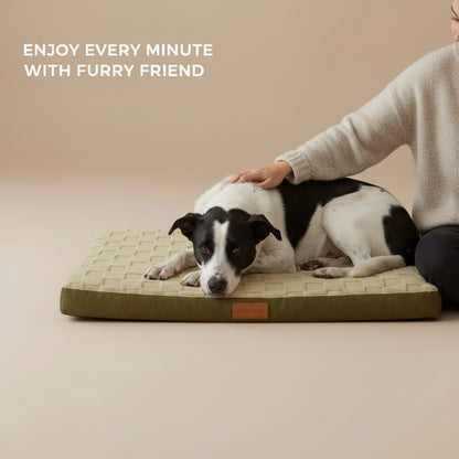 Woman sitting on the floor with a dog in a beige background with text saying 'Enjoy every minute with your furry friend'.