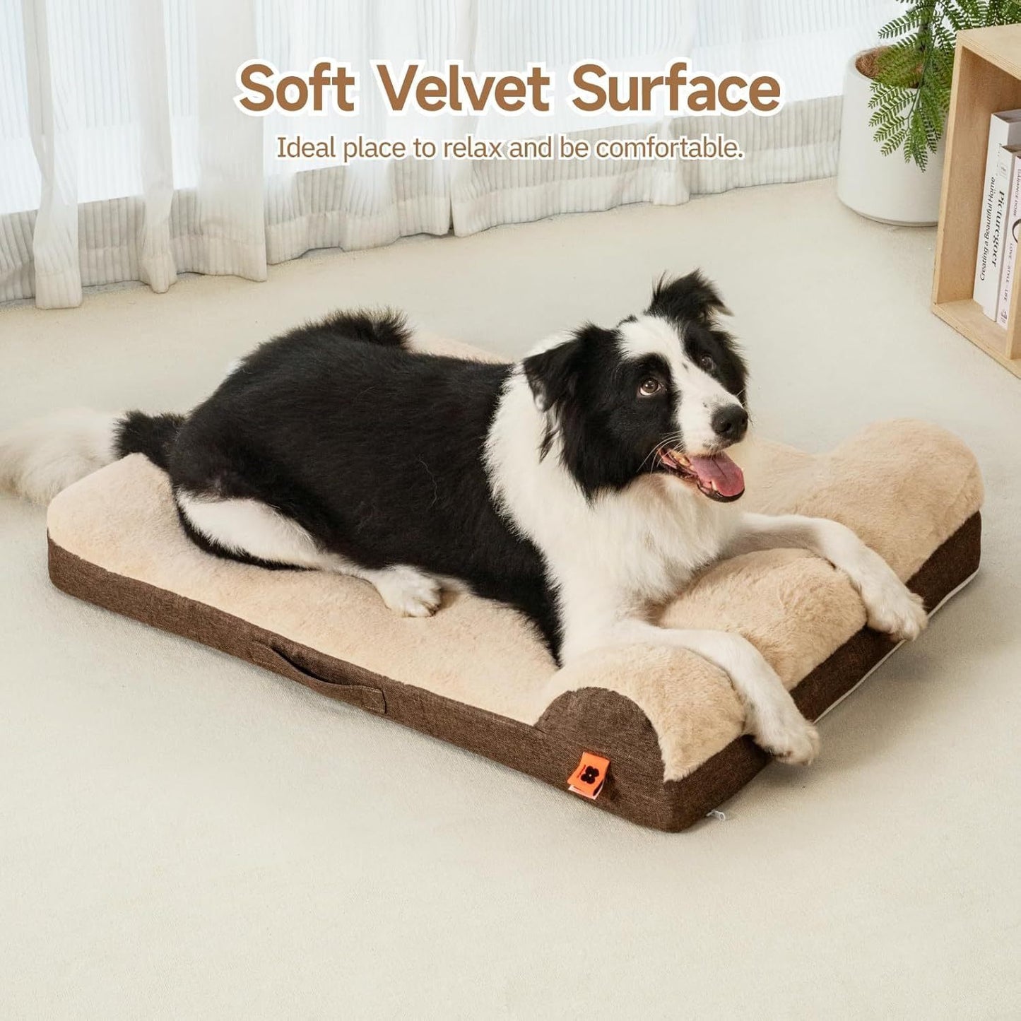 Orthopedic Dog Bed - Medium Dog Couch with Egg Foam Support, Waterproof Removable Cover, Head Support Bolster & Soft Velvet Surface