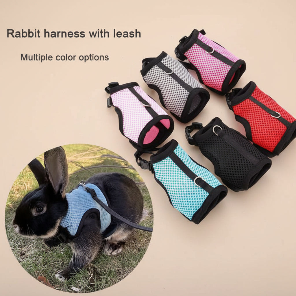Rabbit harnesses with leashes in various colors on a beige background