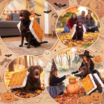 A collage of four photos showing a chocolate Labrador retriever dressed in  a s'mores costume. The dog is posed outdoors with autumn leaves and pumpkins, and two circular inset photos show people wearing matching witch hats while posing with the dog.