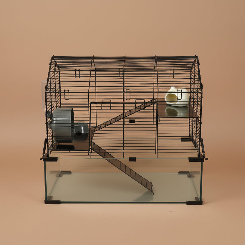 Pet cage with glass bottom and metal wire top on a beige background