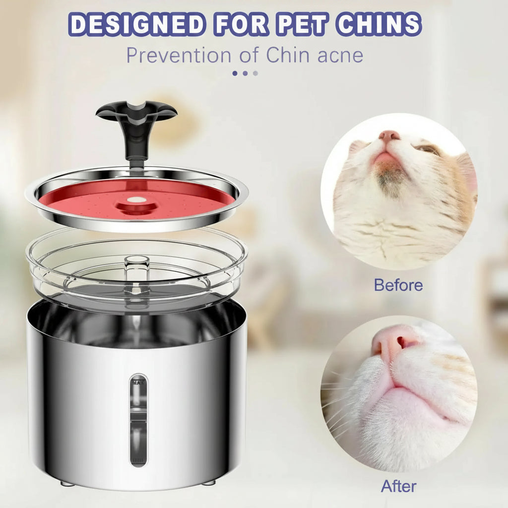Pet chin acne prevention device with before and after images of a pet's chin.