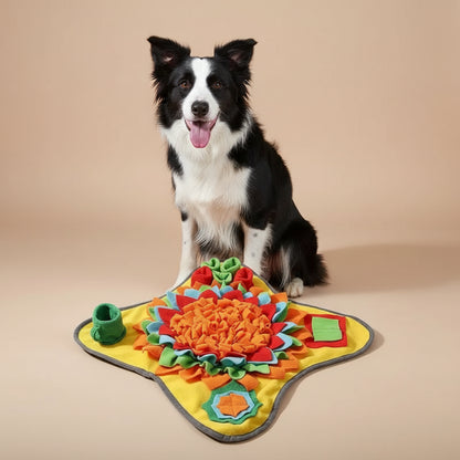 Colorful dog toy with a dog sitting next to it on a white background