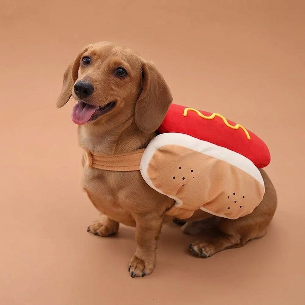 A dachshund wearing a plush hot dog costume on a beige background. The costume features a red sausage body with yellow mustard details and a tan bun with white edges and black sesame-print dots.
