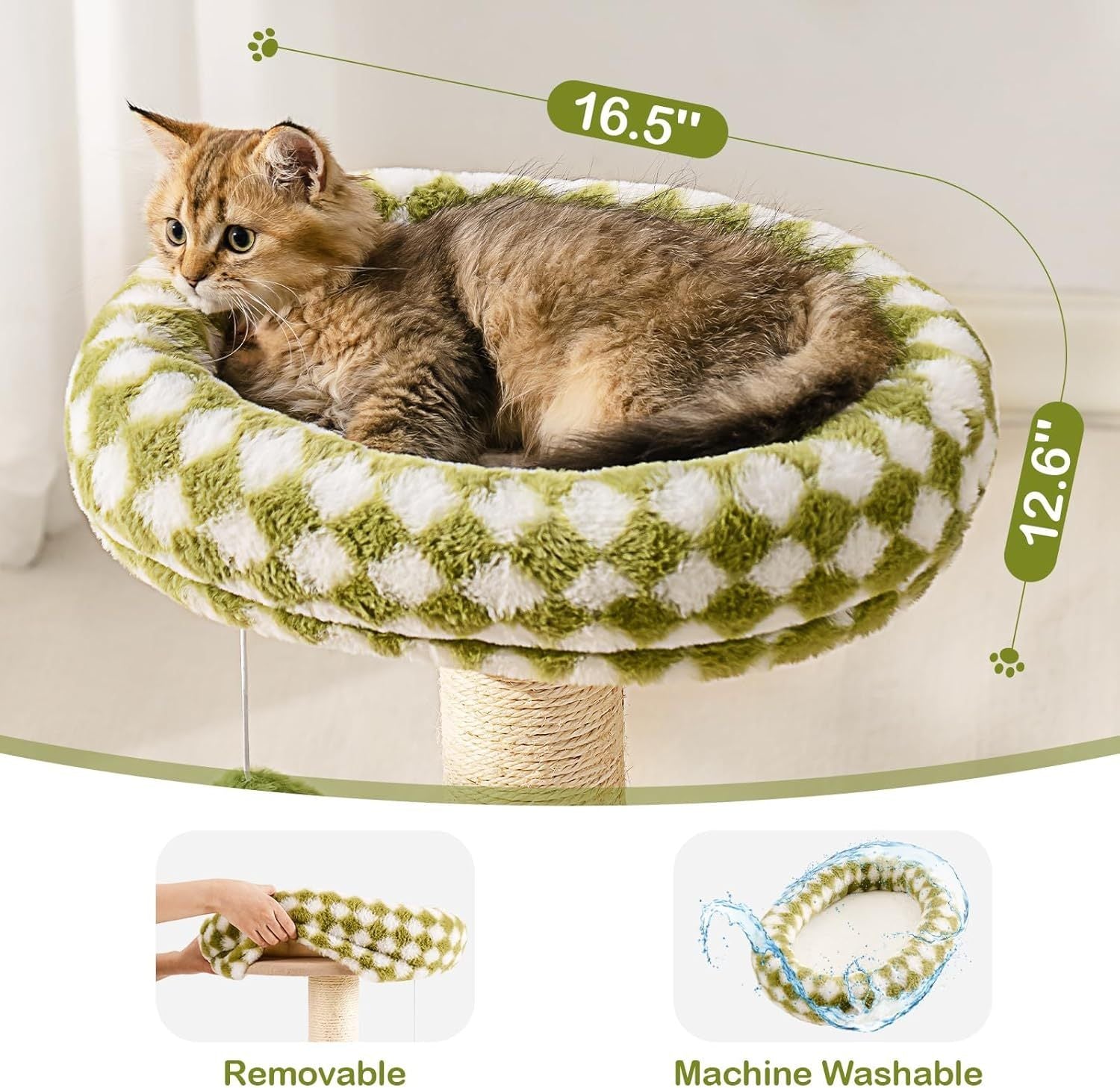 Cat lounging on a green and white checkered cat bed with measurements and features displayed.