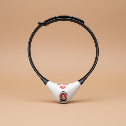 Black and white electronic collar with visible brand logo on a white background