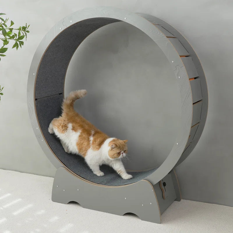 Denora 45'' Large Cat Running Wheel Treadmill