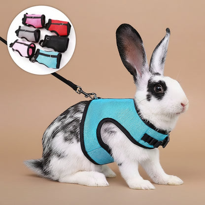 Small rabbit wearing a blue harness with inset images of other color options on a white background