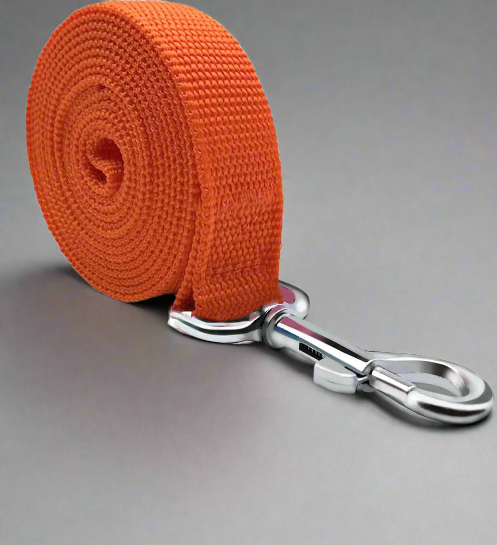 5 FT Strong Dog Leash, Nylon Dog Leashes for Small Medium Large Dogs Orange