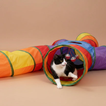 Cat playing with a colorful tunnel toy with a beige background.