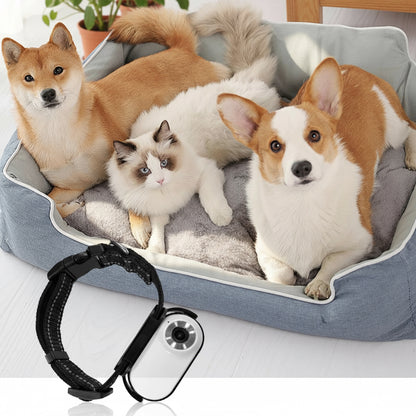 Pet Collar Camera 120 Deg Lens OTG Connection Video Recording Adjustable Magnetic Cat Sport Camera for Outdoor Dog Collar Camera