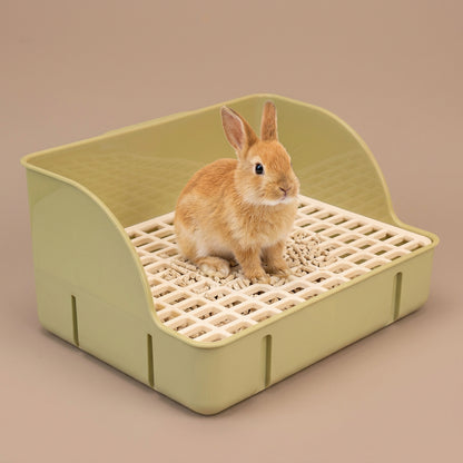 Small rabbit inside a green pet litter tray on a beige background.