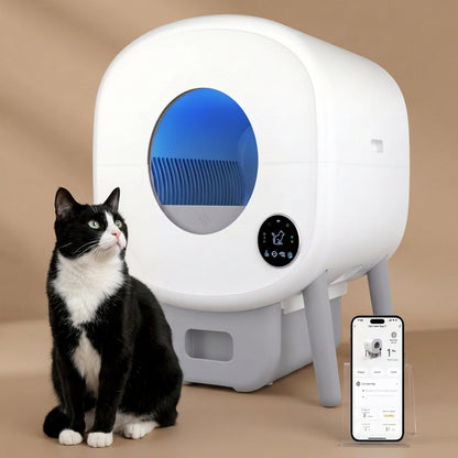 A white automatic cat litter box with a blue interior light and a small digital control panel, shown on a white background with a fluffy cream-colored cat sitting beside it and a smartphone app screen displayed at lower right.