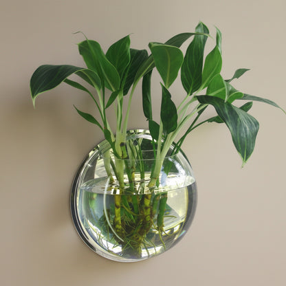 Wall-mounted glass vase with green plants on a white background