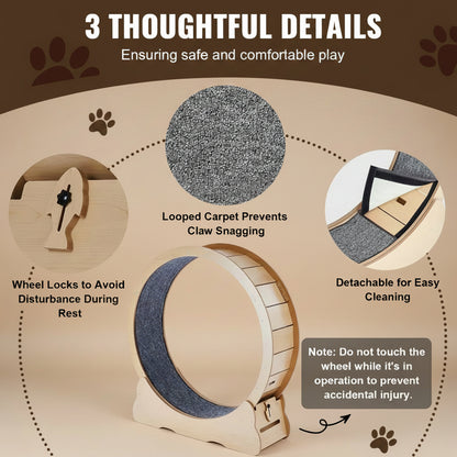 Cat toy with features highlighted on an brown background