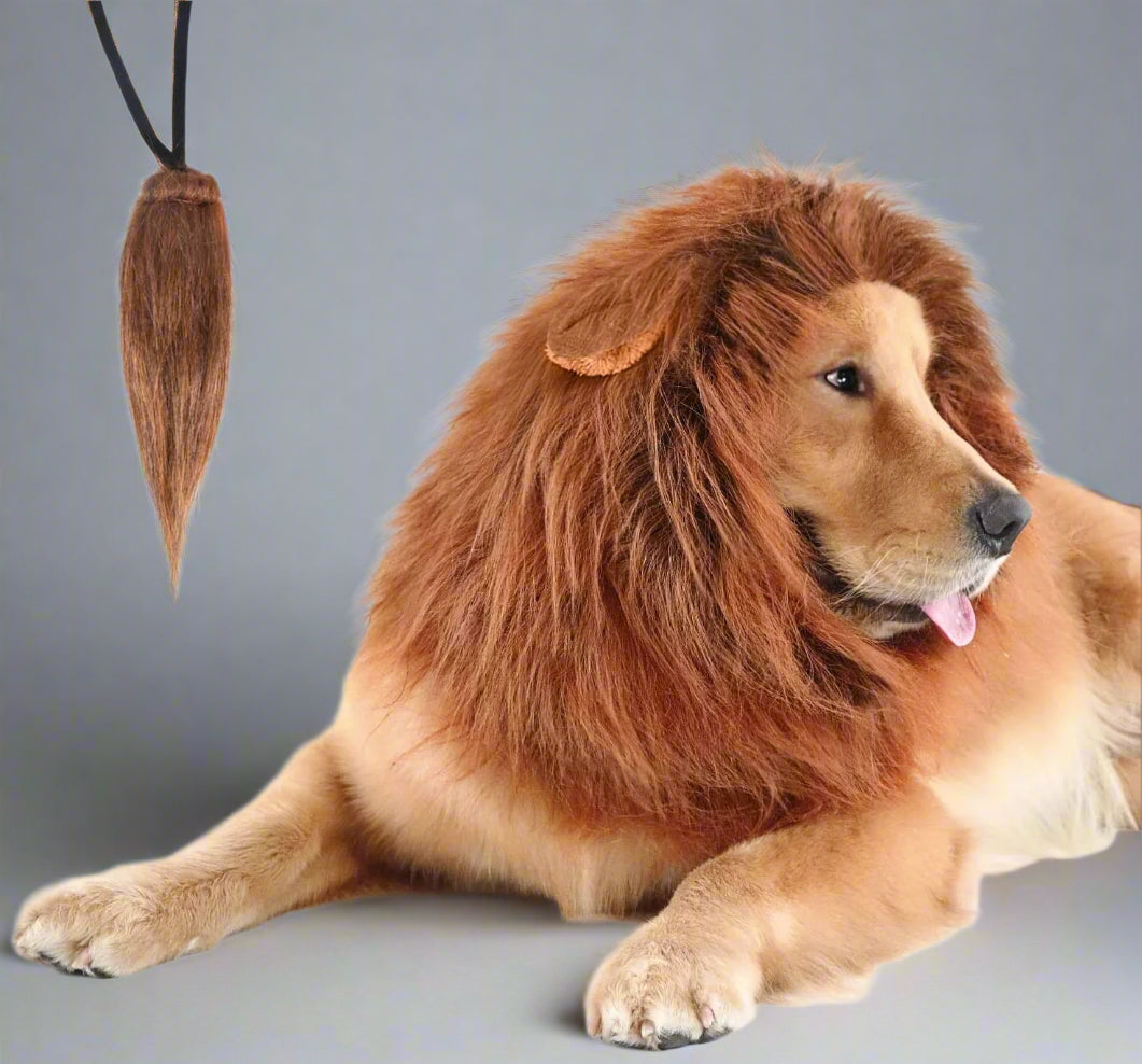 Lion Mane for Dog Costumes, Dog Lion Mane, Realistic Lion Wig for Medium to Large Sized Dogs, Large Dog Halloween Costumes, Lion Mane for Dog, Halloween Costumes for Dogs (Dark Brown)