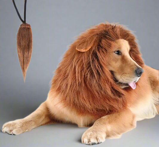 Lion Mane for Dog Costumes, Dog Lion Mane, Realistic Lion Wig for Medium to Large Sized Dogs, Large Dog Halloween Costumes, Lion Mane for Dog, Halloween Costumes for Dogs (Dark Brown)
