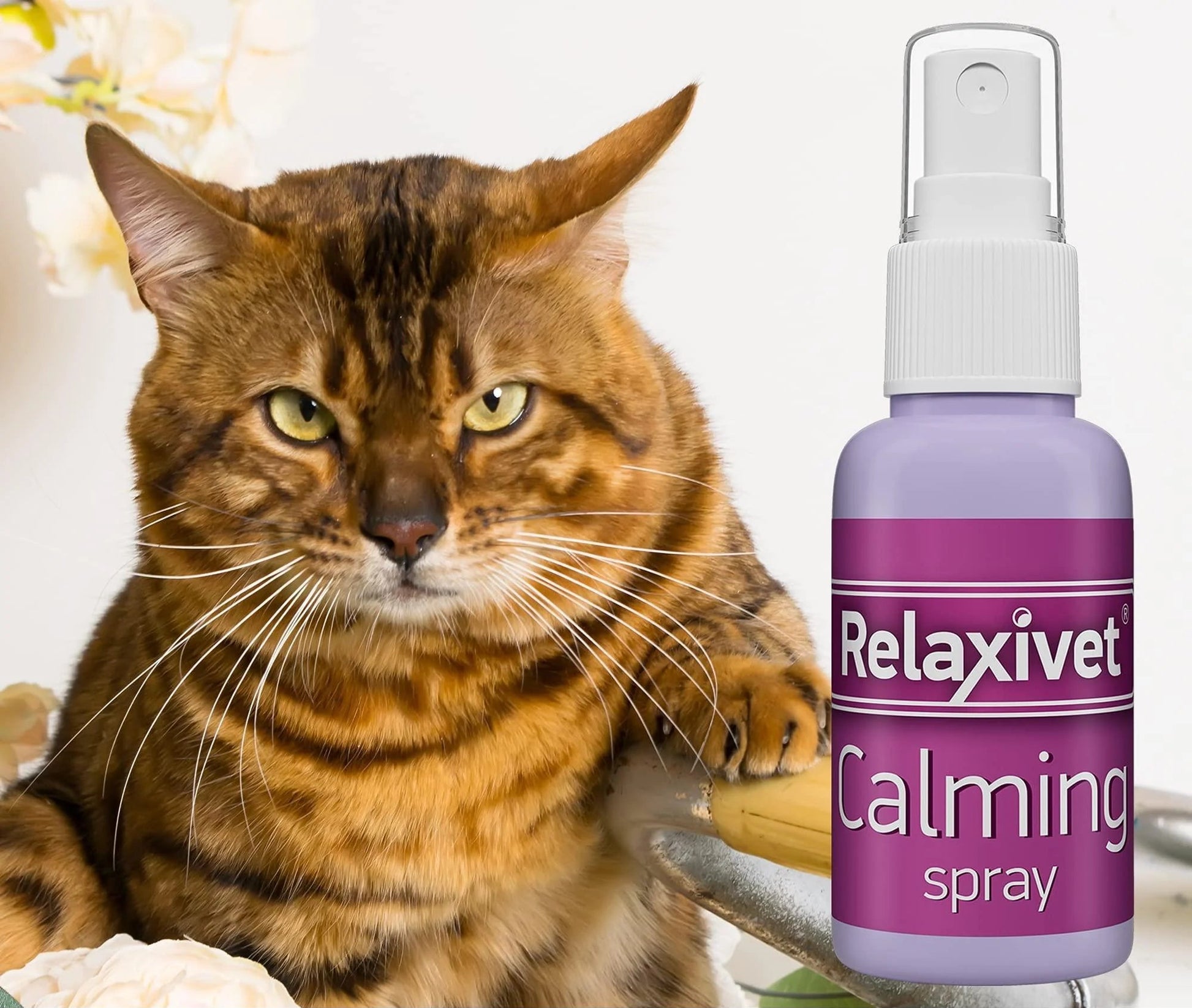 Calming Pheromone Spray Scratch Repellent for Cats Reduce Stress during Travel