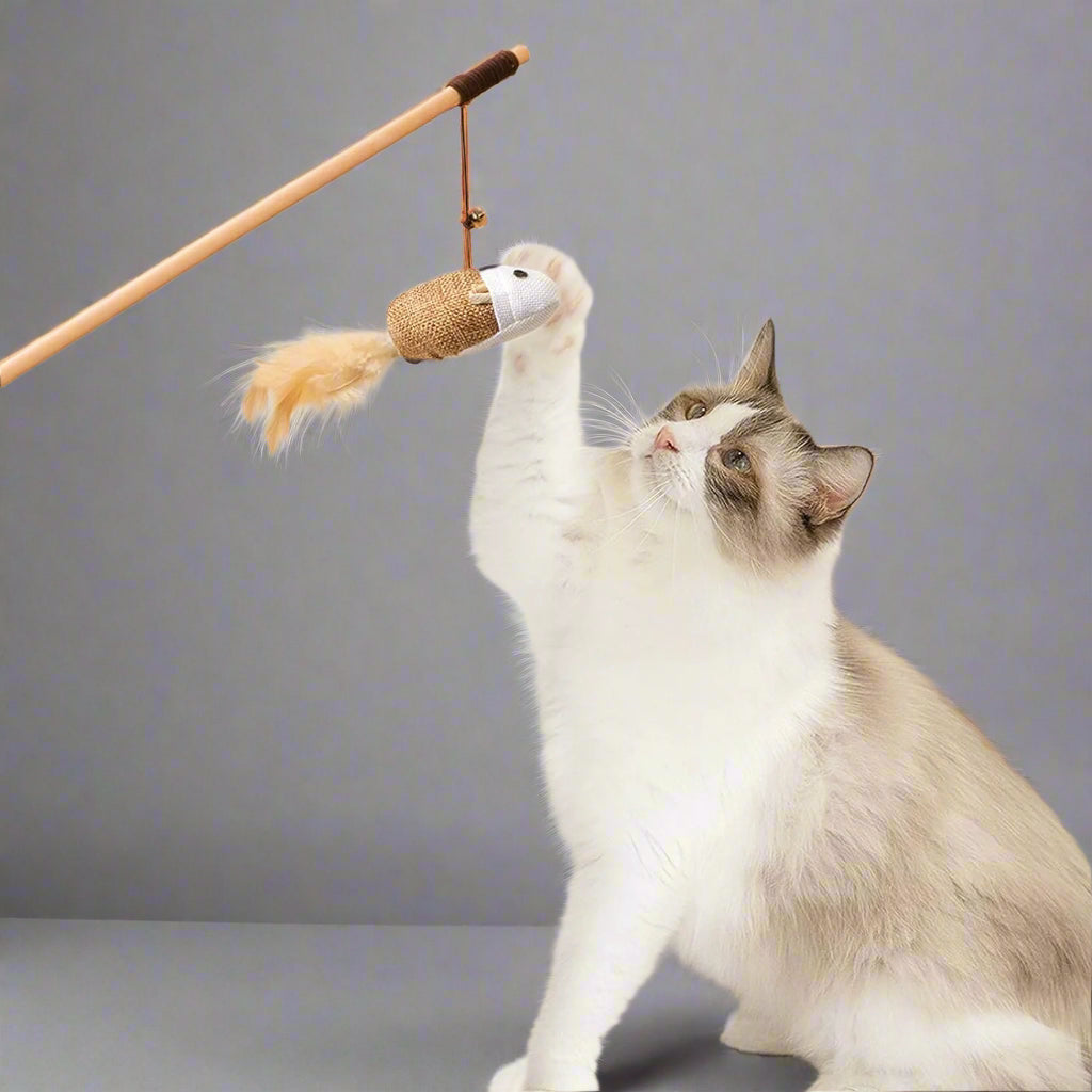 Natural Wood Cat Teaser Wand Toy, 3Pcs 16 Inch, Catnip Sticks for Teeth Cleaning, Indoor Cat Exerciser