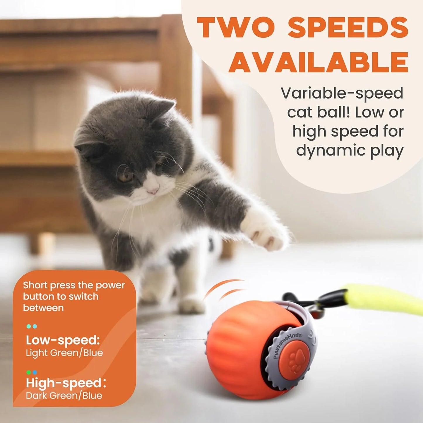 Cat playing with a variable-speed cat ball on a light surface.