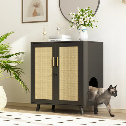 Modern Cat Litter Box Enclosure with Lock and Sisal Door