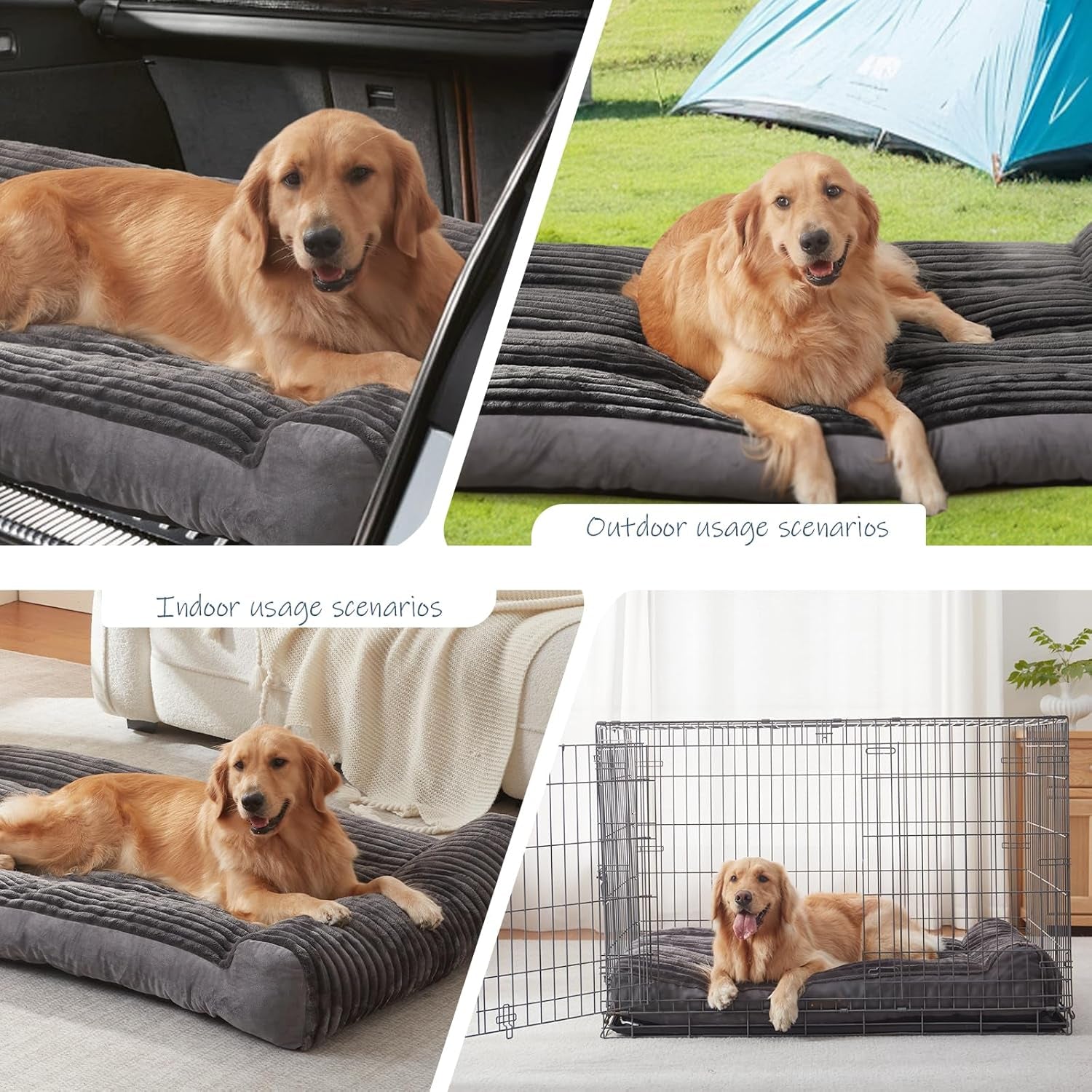 Collage of a golden retriever on a gray pet bed in various settings including indoor and outdoor.