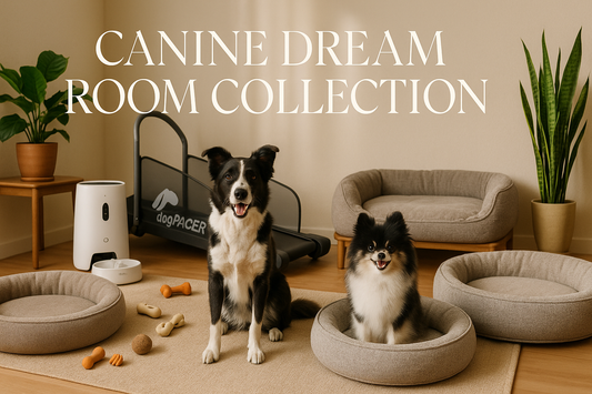 keep image make the smaller dog a black and white Pomeranian and add another plant and dog bed