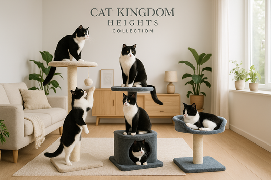 Cat Kingdom Heights collection with multiple cat trees and cats in a home setting.