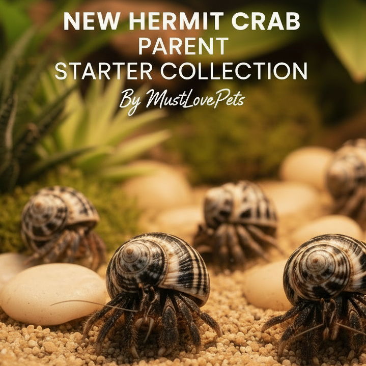 move text down towards center of image