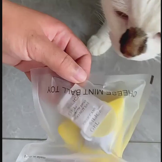 Catnip Toy Ball - Natural Cat Entertainment with Digestive Health & Fresh Breath Benefits