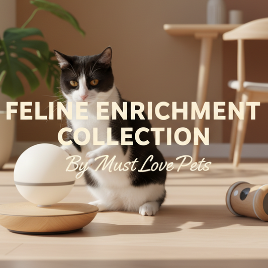 Feline Enrichment Collection