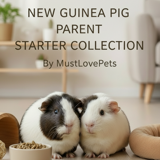 New Guinea Pig Parent Starter Collection