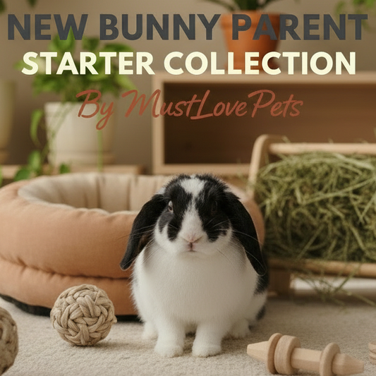 New Bunny Parent Starter Collection