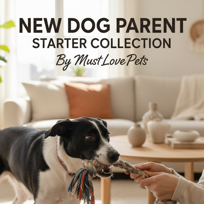 New Dog Parent Starter Collection