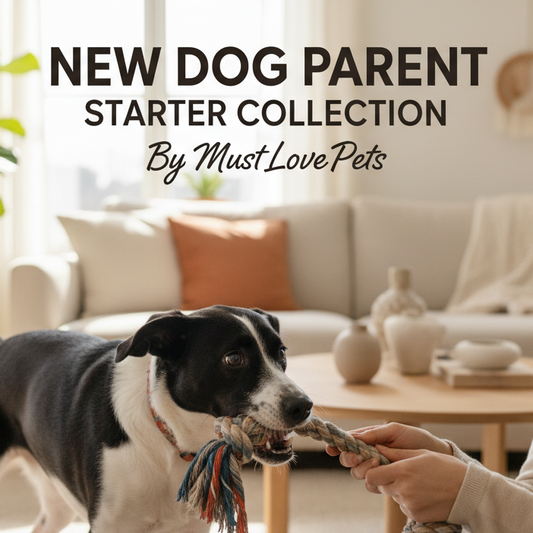 New Dog Parent Starter Collection