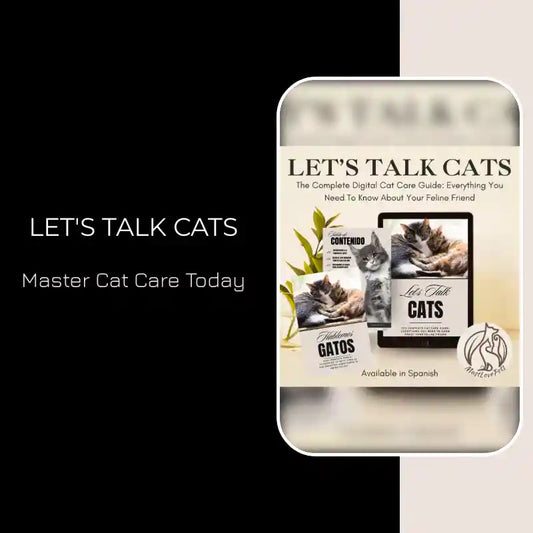 Let's Talk Cats by@Outfy