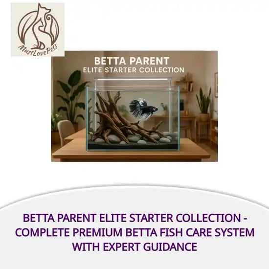Betta Parent Elite Starter Collection - Complete Premium Betta Fish Care System with Expert Guidance by@Outfy