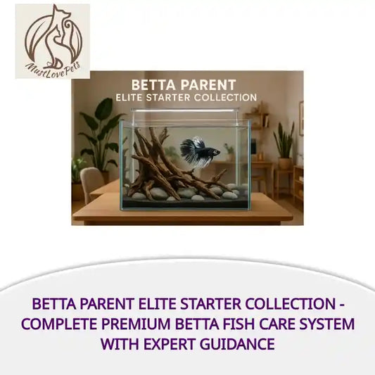 Betta Parent Elite Starter Collection - Complete Premium Betta Fish Care System with Expert Guidance by@Outfy