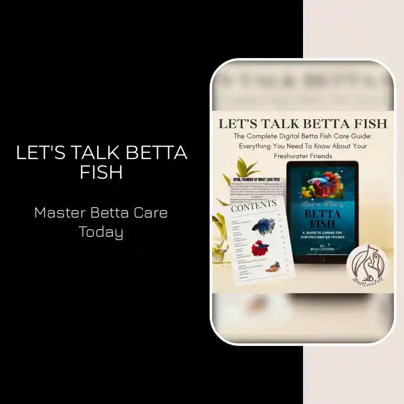 Let's Talk Betta Fish by@Outfy
