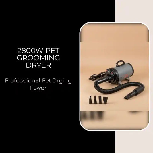 2800W Pet Grooming Dryer by@Outfy