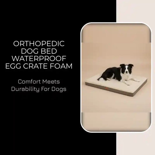 Orthopedic Dog Bed Waterproof Egg Crate Foam by@Outfy