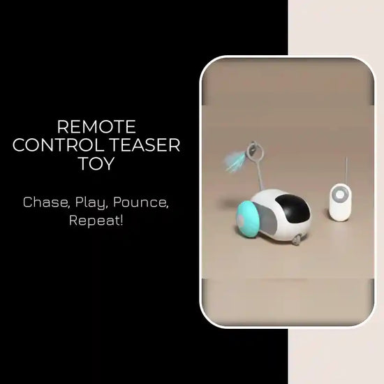 Remote Control Teaser Toy by@Outfy