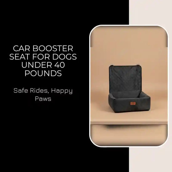 Car Booster Seat for Dogs under 40 Pounds by@Outfy