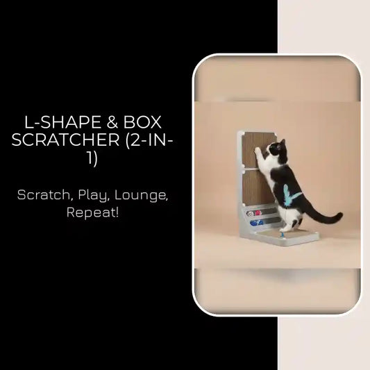 L-Shape &amp; Box Scratcher (2-in-1) by@Outfy